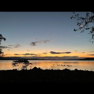 Meet your Posher, Paige